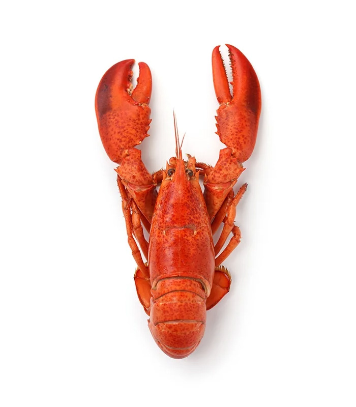 vg-sf-frshs-8.jpg Whole Cornish Lobster - 图片 1